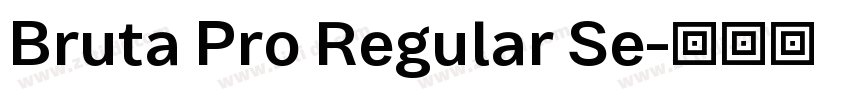 Bruta Pro Regular Se字体转换